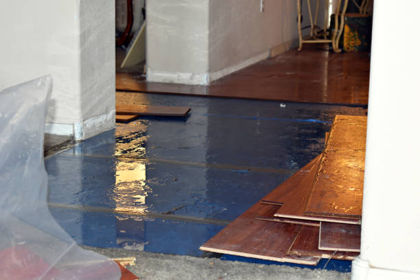 Professional Basement Water Removal technician working in Burton, TX
